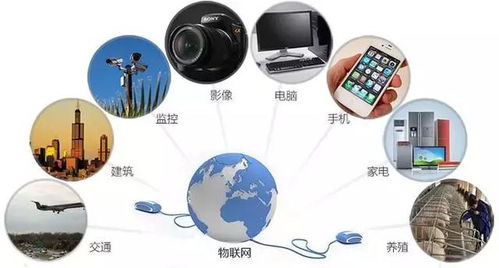 iot大世界大未来,微构科技物联网产业大数据应用简析